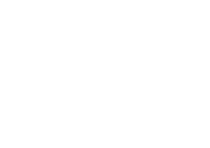 Google Partner Certified RGB