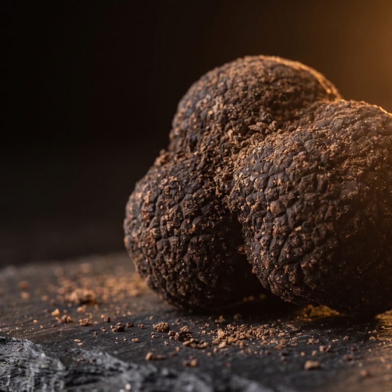 Freshly unearthed black truffle on dark slate celebrating the truffle town premiere.